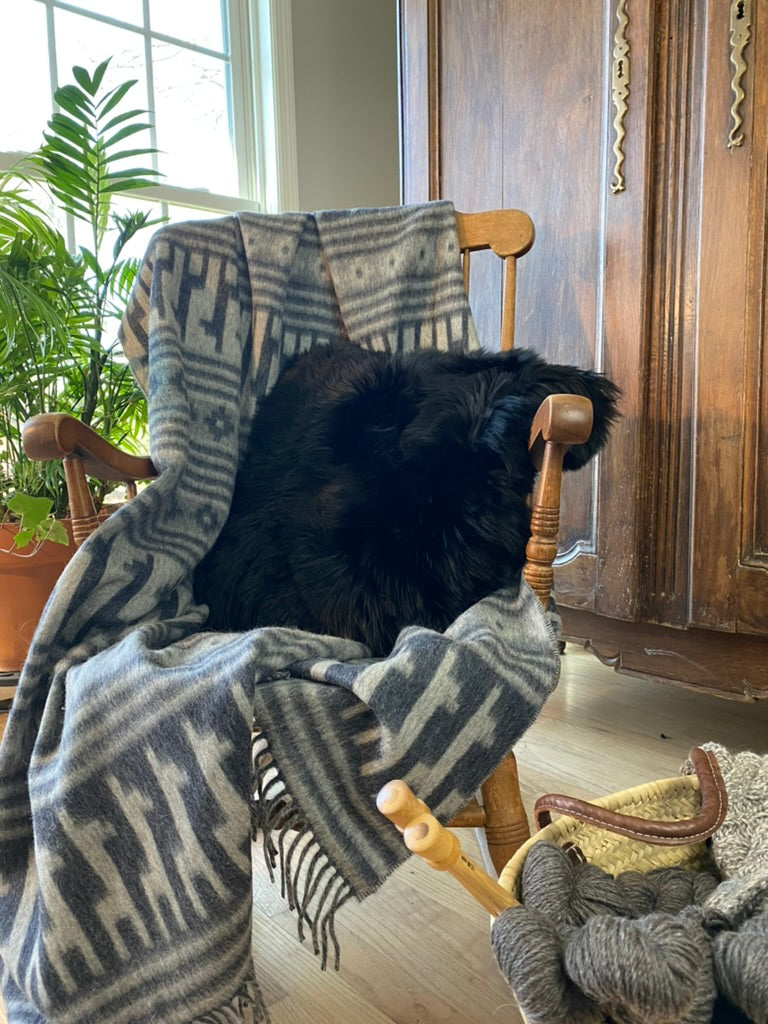 Valenza Throw with llamas