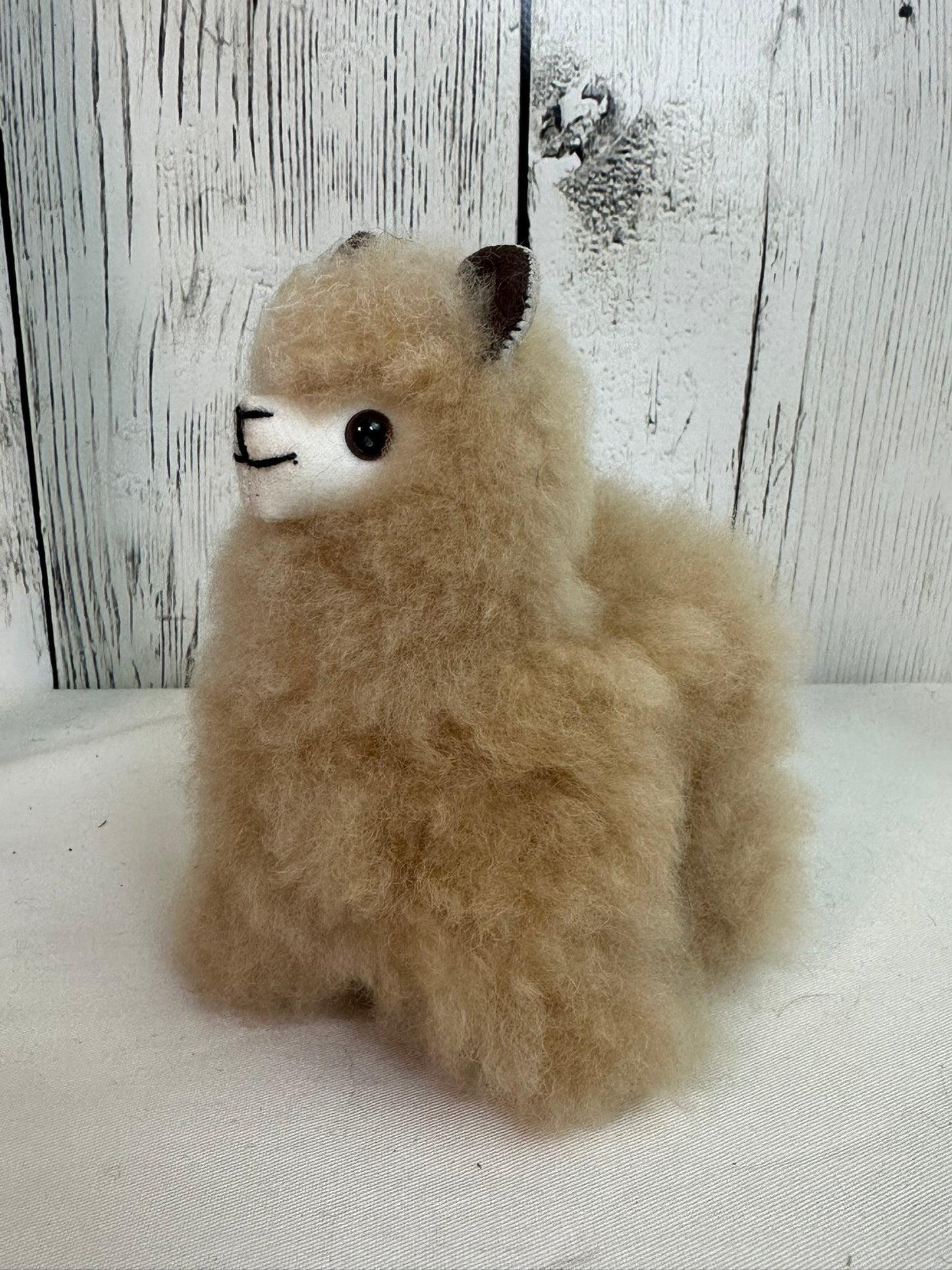 Small Fluffy Alpaca