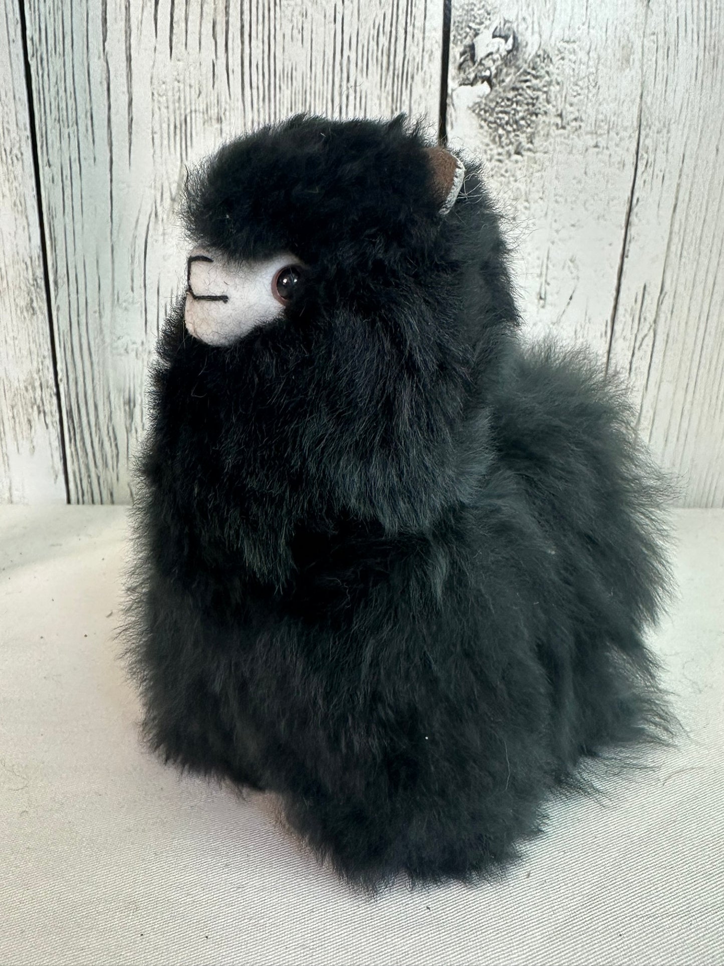 Small Fluffy Alpaca