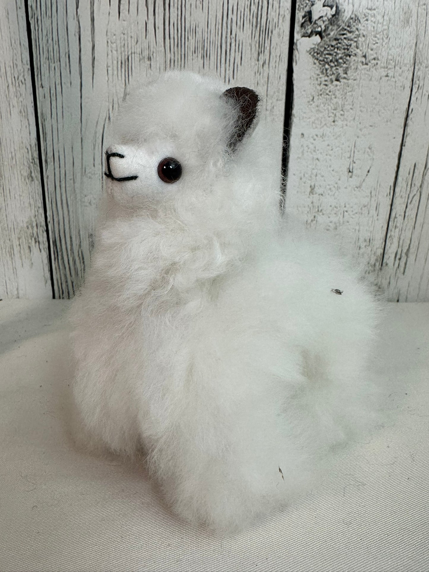 Small Fluffy Alpaca