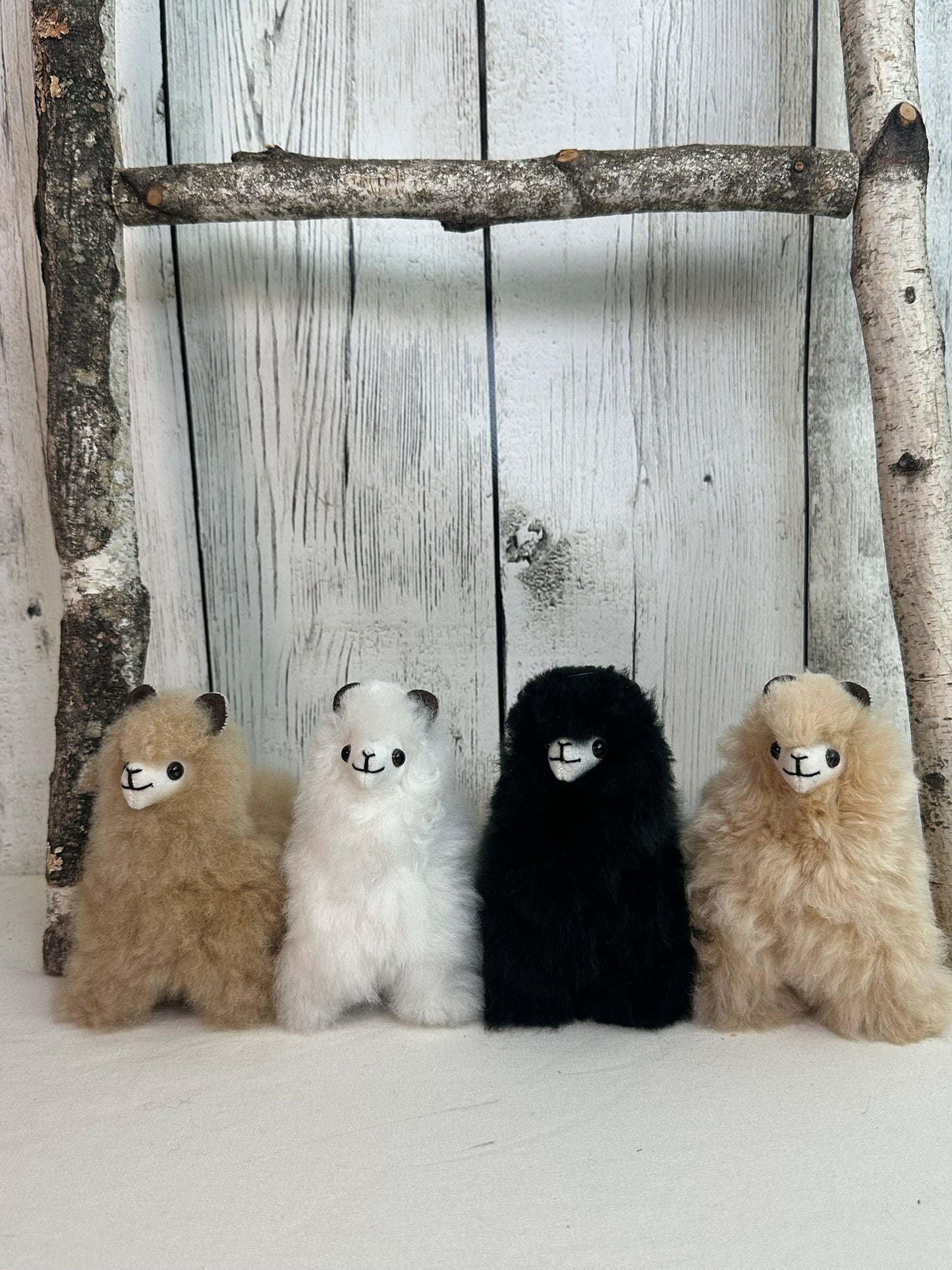 Small Fluffy Alpaca